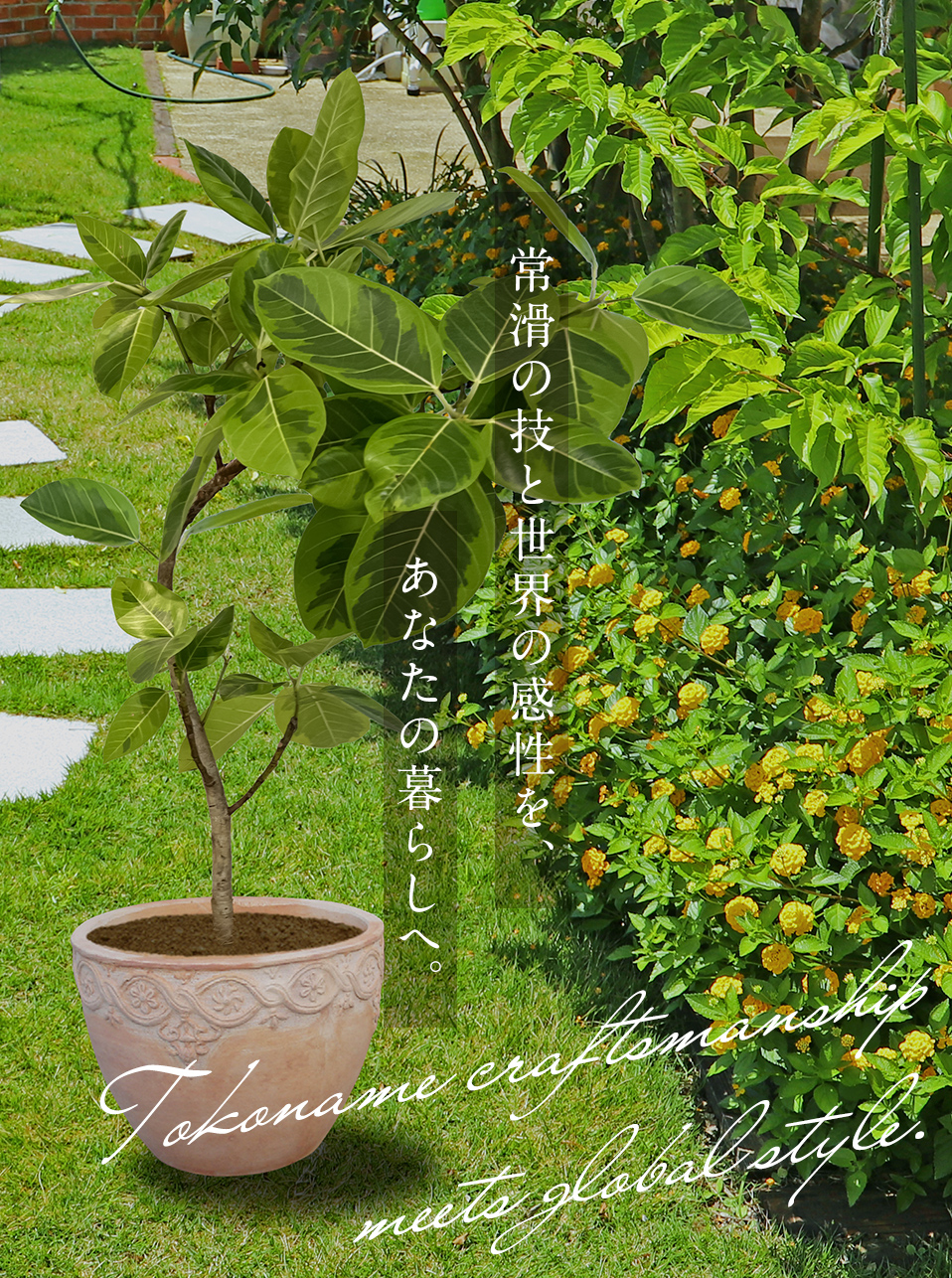 有限会社丸滉製陶｜陶器鉢・植木鉢・プランター｜常滑市